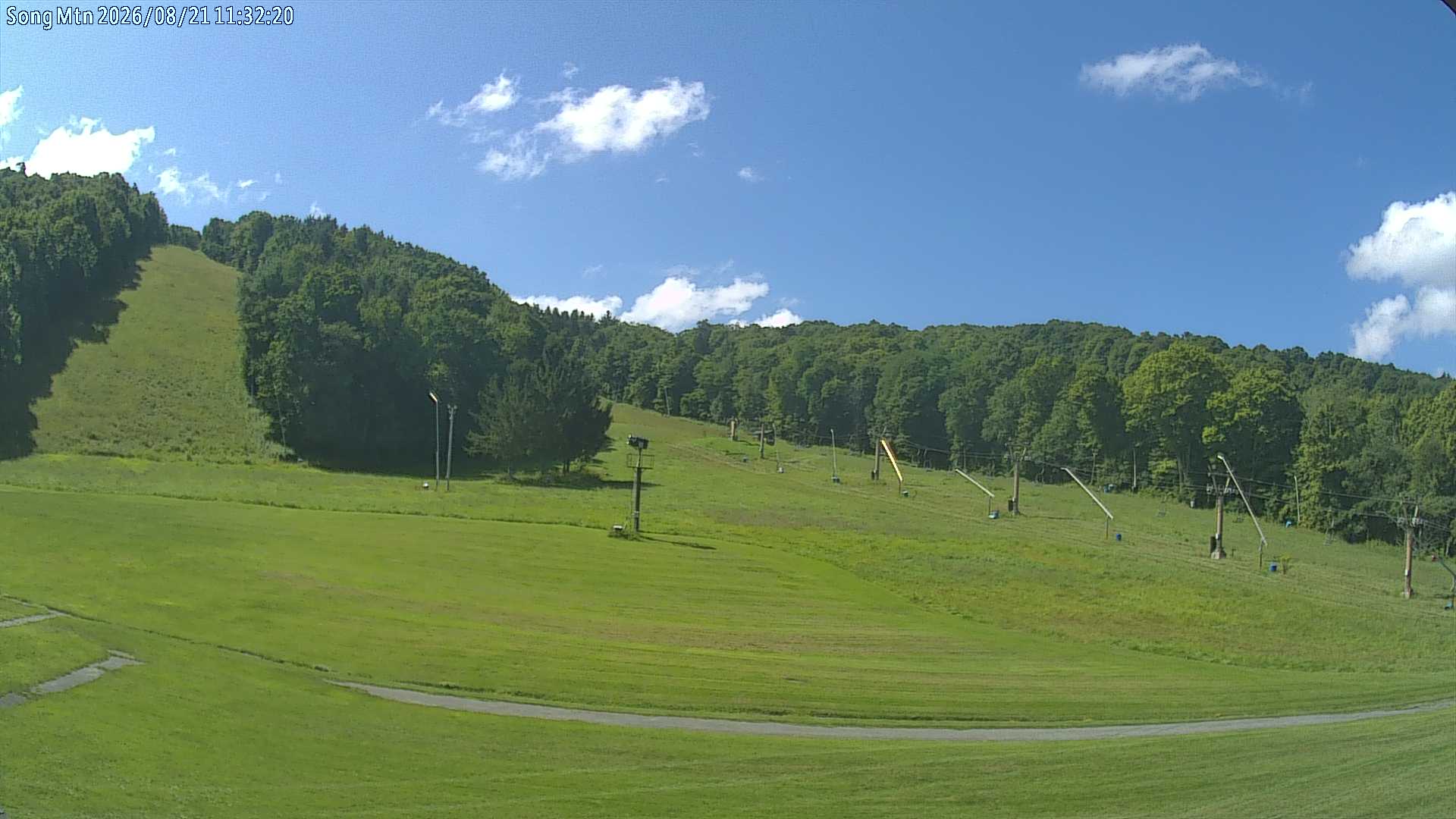 Live Webcam