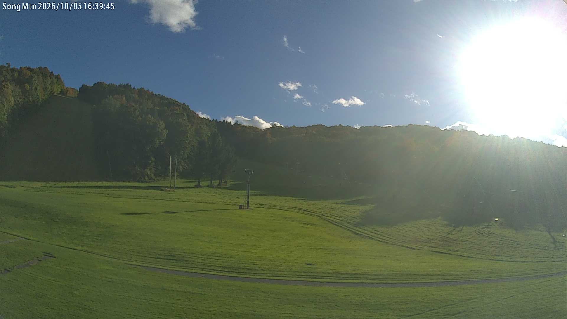 Live Webcam